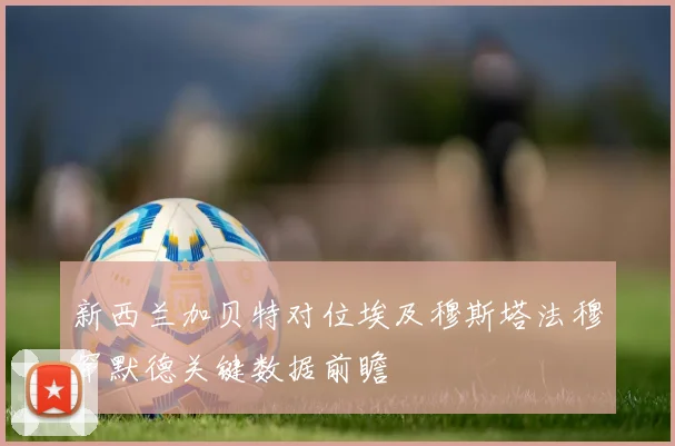 新西兰加贝特对位埃及穆斯塔法穆罕默德关键数据前瞻