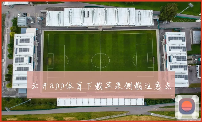 云开app体育下载苹果侧载注意点
