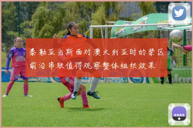 泰勒亚当斯面对澳大利亚时的禁区前沿串联值得观察整体组织效果