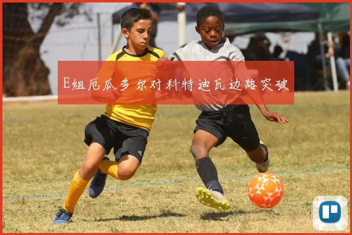 E组厄瓜多尔对科特迪瓦边路突破