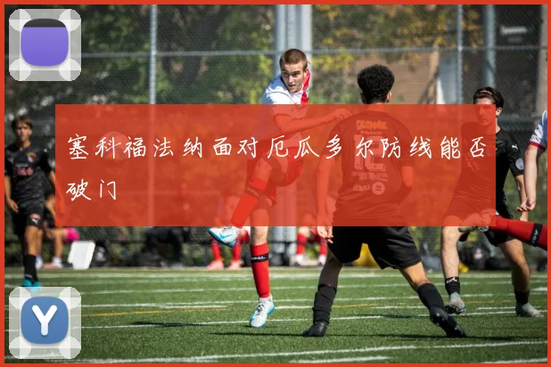 塞科福法纳面对厄瓜多尔防线能否破门