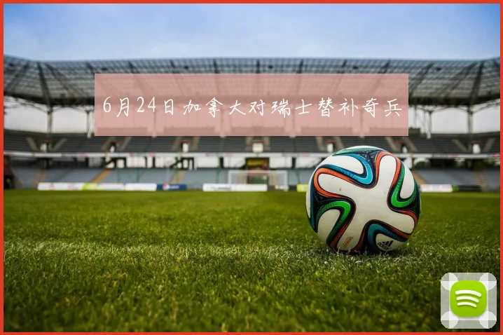 6月24日加拿大对瑞士替补奇兵